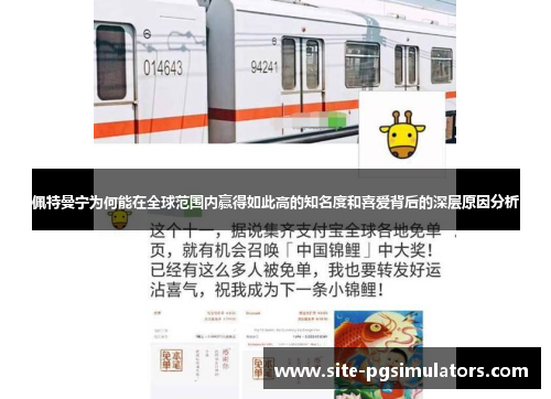 佩特曼宁为何能在全球范围内赢得如此高的知名度和喜爱背后的深层原因分析