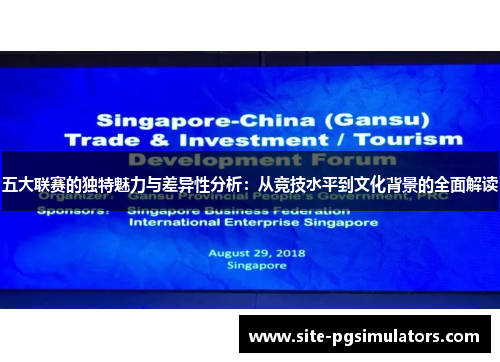 五大联赛的独特魅力与差异性分析：从竞技水平到文化背景的全面解读