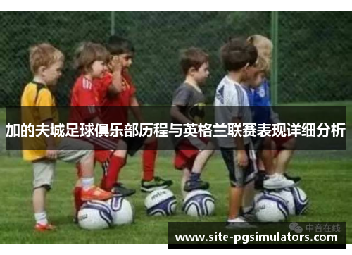 加的夫城足球俱乐部历程与英格兰联赛表现详细分析