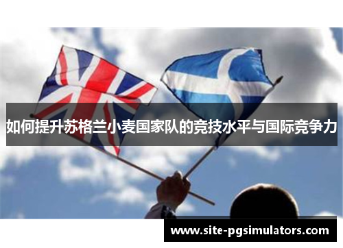 如何提升苏格兰小麦国家队的竞技水平与国际竞争力