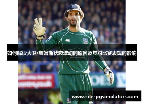 如何解读大卫·詹姆斯状态波动的原因及其对比赛表现的影响