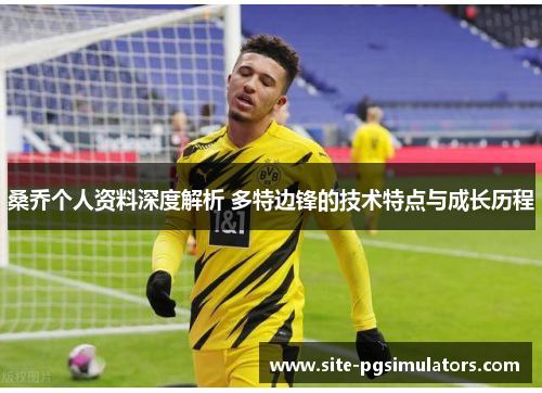 桑乔个人资料深度解析 多特边锋的技术特点与成长历程